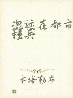 混迹在都市的特种兵