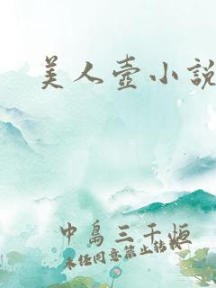 美人壶小说