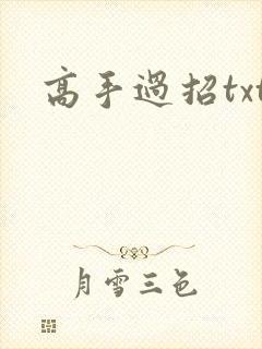 高手过招txt