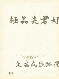 极品夫君好又多