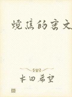烧焦的密文