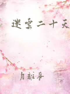 迷云二十天
