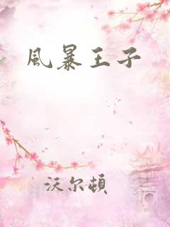 风暴王子