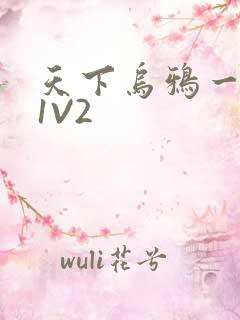 天下乌鸦一般黑1V2