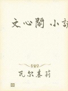 文心阁 小说