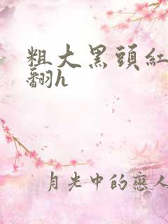 粗大黑头红肿外翻h