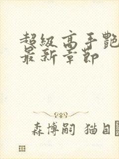 超级高手艳遇记最新章节