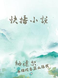 快播小说