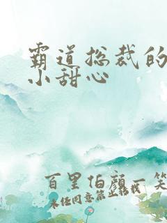 霸道总裁的宠爱小甜心