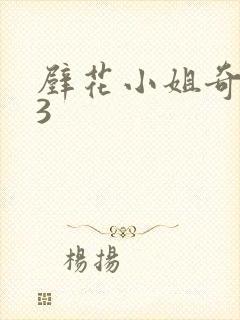 壁花小姐奇遇记3