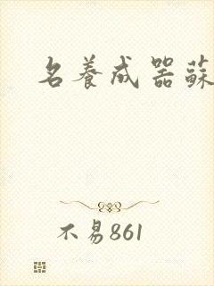 名养成器苏沫沫