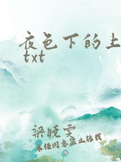 夜色下的上海滩 txt