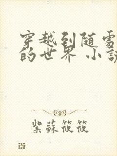 穿越到随处做 的世界 小说