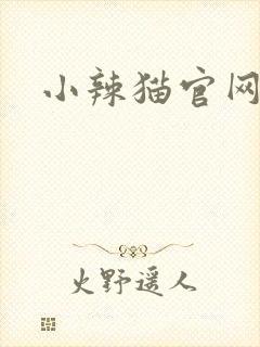 小辣猫官网