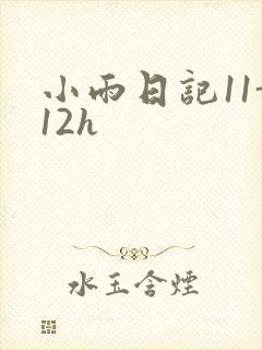 小雨日记11-12h