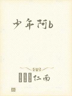 少年阿b