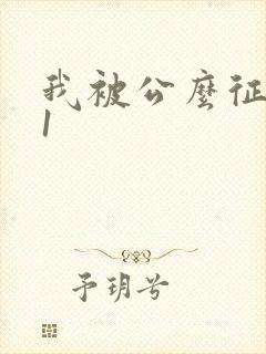 我被公么征服了1