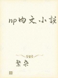 np肉文小说