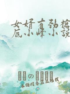 女婿有劲枪枪到底小峰小说