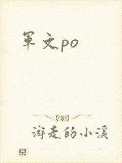 军文po