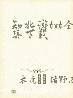 知北游txt全集下载