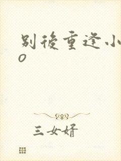 别后重逢小说po