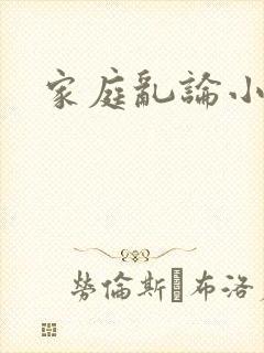 家庭乱论小说