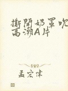 撕开奶罩吮奶头高潮A片