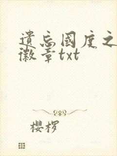 遗忘国度之神秘徽章txt