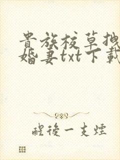 贵族校草拽拽未婚妻txt下载