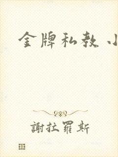 金牌私教 小说