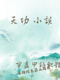 天功 小说