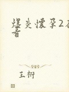爆炎怀孕2在线看