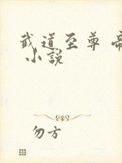 武道至尊 帝临 小说