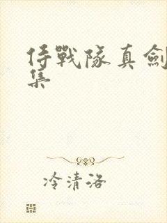 侍战队真剑者全集