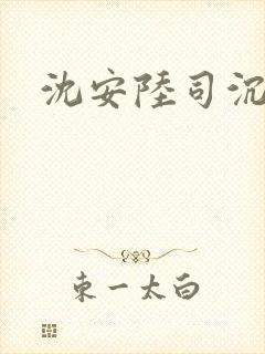 沈安陆司沉小说