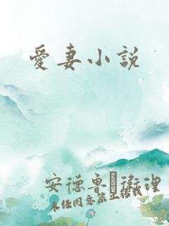 爱妻小说