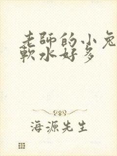 老师的小兔子好软水好多