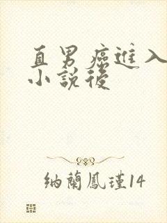 直男癌进入言情小说后