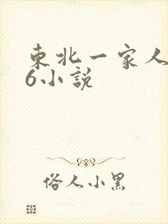 东北一家人1一6小说