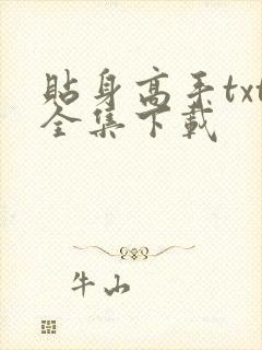 贴身高手txt全集下载