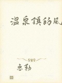 温泉镇的风流事