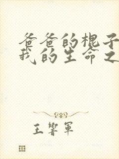 爸爸的棍子顶着我的生命之苏苗