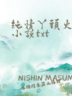 纯情丫头火辣辣小说txt
