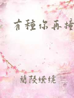 有种你再撞一下