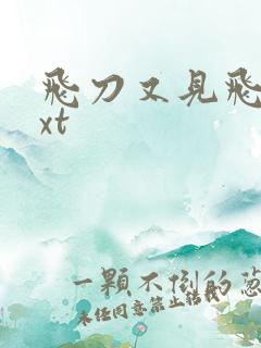 飞刀又见飞刀txt