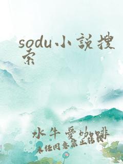 sodu小说搜索