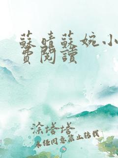 苏晴苏婉小说免费阅读