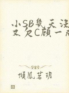 小SB几天没做又欠C顾一成视频