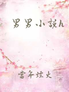 男男小说h